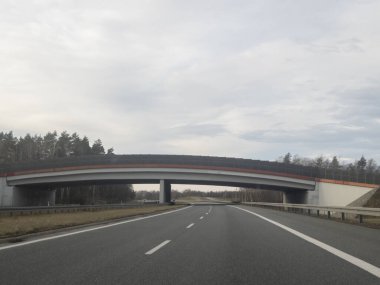 Bulutlu bir gökyüzünün altındaki ağaçlarla çevrili bir otoyolun manzarası. Ulaşım altyapısı ve doğa temaları için ideal.