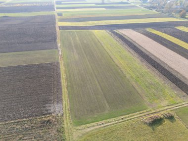 Temiz bir gökyüzü altında farklı ekin desenleri ve renkleri olan tarımsal alanların havadan görünüşü
