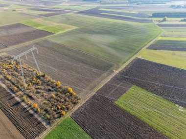 Aerial view of agricultural fields with varying textures and colors. Power lines intersect the landscape showcasing the beauty of rural areas. clipart