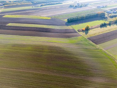 Canlı tarım alanlarının havadan görünüşü açık mavi gökyüzü altında zengin desenler ve renkler sergiliyor. Manzara sükuneti ve doğanın güzelliğini temsil eder..