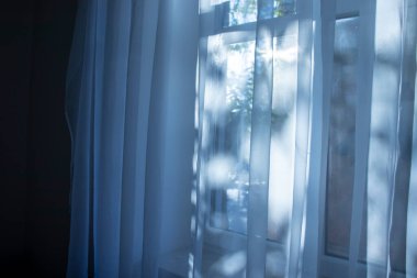 Parlak güneş ışığı perdelerin arasından süzülerek pencerelerde yumuşak desenler oluşturur. Rahatlamak ve ilham vermek için mükemmel bir ortam..