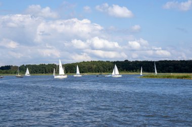 Mikolajki Polonya - 29 Eylül 2024: Berrak mavi bir gökyüzü altında yemyeşil sularda süzülen güzel bir yelkenli manzarası.