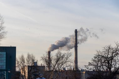 Gün batımında şehir binaları ve ağaçlarla çevrili bir fabrikanın bacalarından duman yükseliyor.