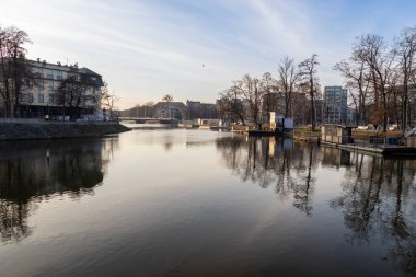 Wroclaw Polonya - 23 Şubat 2025: Zabka 'nın logosu, mağaza vitrinlerinde belirgin bir şekilde yeşil arka planda sergilenen popüler bir market zinciri.