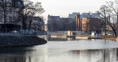 Wroclaw Polonya - 23 Şubat 2025: Zabka 'nın logosu, mağaza vitrinlerinde belirgin bir şekilde yeşil arka planda sergilenen popüler bir market zinciri.