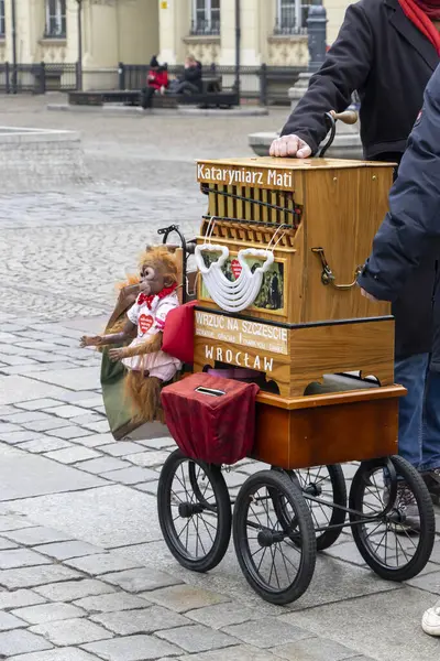 Wroclaw Polonya - 23 Şubat 2025: Maymunlu sokak org çalgıcısı yerel kültür ve performans sanatını sergileyen meydanda gezginleri eğlendiriyor.