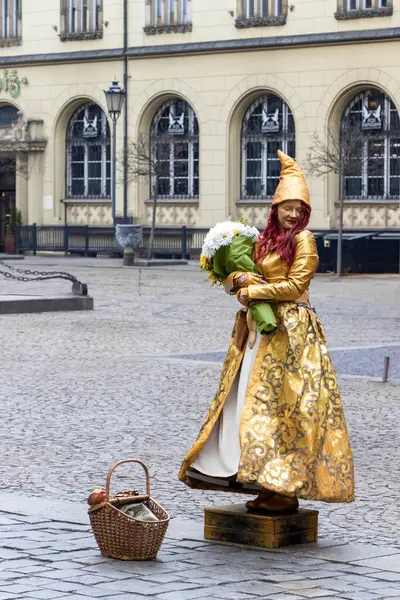 Wroclaw Polonya - 23 Şubat 2025: Altın bir elbise giymiş bir sokak göstericisi şehir meydanından geçenleri büyüledi.