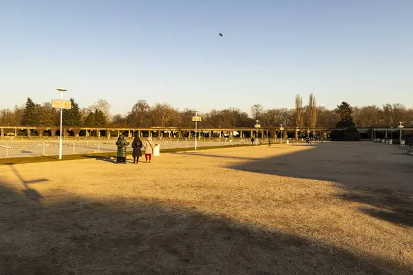 Wroclaw Polonya - 23 Şubat 2025: Zabka 'nın logosu, mağaza vitrinlerinde belirgin bir şekilde yeşil arka planda sergilenen popüler bir market zinciri.