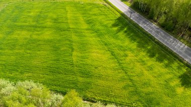 Etrafı ağaçlarla çevrili dolambaçlı bir yol ile çevrili yemyeşil bir tarlanın havadan görünüşü. Doğayı ve dışarıyı göstermek için mükemmel..