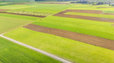 Düzenli bölünmüş tarlaları olan yemyeşil ve kahverengi tarım arazileri ve tarımsal güzellik ve manzara çeşitliliğinin gün içinde sergilendiği kırsal bir yol..
