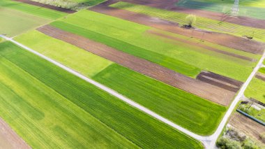 Renkli tarım alanlarının havadan görünüşü yeşil ve kahverenginin çeşitli tonlarını gösteriyor. Toprak bir yol onları parlak gün ışığında yakalıyor ve doğanın güzelliğini temsil ediyor..