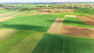 Baharda kırsal alanların güzelliğini gösteren çeşitli desenlere ve dokulara sahip yemyeşil ve kahverengi tarım alanlarının havadan görünüşü.