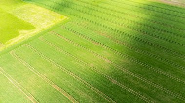 Tarım ekipmanları tarafından oluşturulan düzgün hatları olan yemyeşil tarım alanlarının havadan görünüşü. Canlı renkler kırsal kesimdeki ekili arazinin güzelliğini gösteriyor..