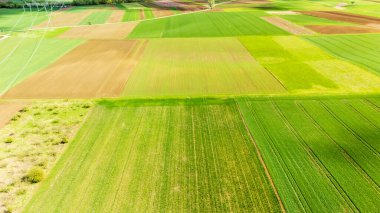 Gündüz tarımsal tarlaları gösteren kırsal bir arazide yeşil kahverengi ve altının değişik tonlarını gösteren canlı tarım arazilerinin havadan görünüşü.