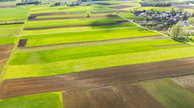 Baharda tarım arazilerini gösteren çeşitli desenleri ve dokuları olan yemyeşil alanların havadan görünüşü. Arka planda çiftlikler ve kırsal evler görülebilir..
