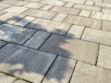 Yaprakları çevreleyen gölgeli kaldırım taşlarının yakın görüntüsü manzara tasarımı ya da mimarisi için ideal bir açık hava manzarası yaratıyor..