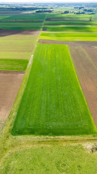 İlkbaharda canlı yeşil tarım alanlarının havadan görünüşü çeşitli desenleri ve kırsal araziyi ve tarımı gösteren yeşil ve kahverengi tonlarını sergiliyor..