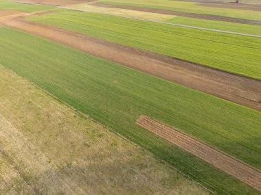 Parlak yeşil ve kahverengi tarım alanlarının havadan görünüşü, baharın başlarında çeşitli ekin şekilleri sergiliyordu..