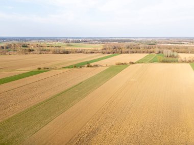 Gündüz vakti doğanın canlı renklerini gösteren farklı ekin desenleri ve dokularına sahip geniş tarım alanlarının havadan görünüşü.
