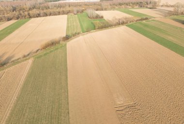 Açık bir gökyüzü altında tarım arazilerindeki mevsimsel değişiklikleri gösteren çeşitli kahverengi ve yeşil tonlarını gösteren tarımsal tarlaların havadan görünüşü.