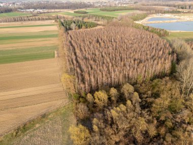 Ekilmiş tarlaların, sık bir ormanın ve kırsal alanda mevsimsel değişimler gösteren bir suyun bulunduğu çeşitli manzaraların havadan görüntüsü..