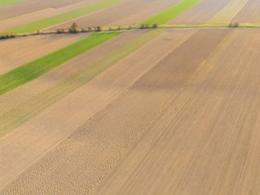 Uçsuz bucaksız tarımsal alanlar farklı toprak dokuları ile canlı yeşil ve kahverengi desenler sergilerken doğanın güzelliğini vurguluyor..