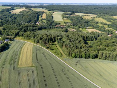 Parlak mavi gökyüzü altındaki yemyeşil alanlar ve sık ormanların havadan görünüşü yaz aylarında kırsal arazileri ve tarımsal modelleri gösteriyor..