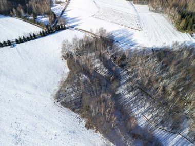 Karla kaplı tarlalar ve ağaçların yer aldığı sakin kış manzarası kırsal bir bölgede parlak güneş ışığı altında gölgeler bırakıyor..