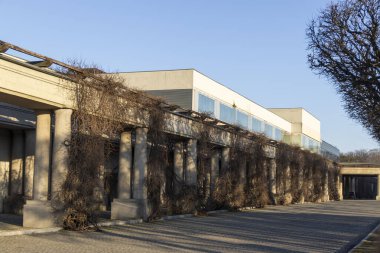 Sarmaşıklarla süslenmiş modern bir bina ve Wroclaw 'da bulunan açık mavi gökyüzüne karşı gün ışığında yakalanan sütunlar..