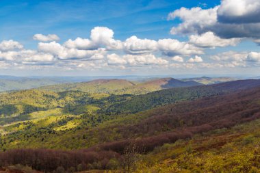 Açık mavi gökyüzünün altındaki Bieszczady Dağları 'nın manzarasında yemyeşil ormanlar ve yuvarlanan tepeler doğa severler ve açık hava meraklıları için mükemmeldir..