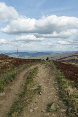 Bereketli yeşillik yürüyüşçülerinin arasından süzülen manzaralı dağ yolu güneşli bir günün tadını çıkarıyor. Bieszczady bölgesinde açık hava macerası ve doğal güzellik için ideal..
