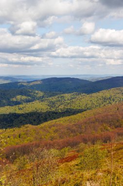 Bieszczady Dağları 'nın geniş manzarası yemyeşil ve parçalı bulutlu bir gökyüzünün altında yuvarlanan tepeleri gösteriyor. Doğa aşıkları ve seyahat meraklıları için ideal..