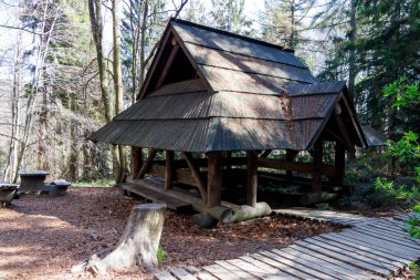 Yeşilliklerle çevrili Bieszczady Dağları 'nda geleneksel ahşap barınak. Açık hava aktiviteleri piknik ve doğa inzivaları için ideal..