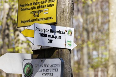 Bieszczady Dağları 'ndaki yön işaretleri Orlowicz Geçidi' ne giden yürüyüşçülere deniz seviyesinden 1099 metre yüksekliği ve açık hava meraklılarına önemli bilgiler sağladığını gösteriyor..
