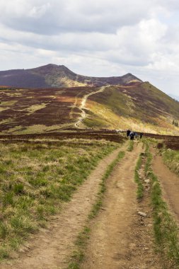 Bieszczady Dağları 'ndaki manzaralı dağ patikalarını keşfeden yürüyüşçüler canlı yeşillikler ve parçalı bulutlu bir gökyüzünün altında yuvarlanan tepelerle çevrili..
