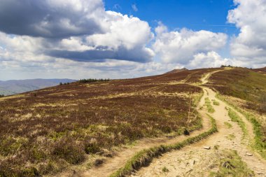 Resimli bir dağ çayırının içinden geçen dolambaçlı toprak bir yol ve mavi gökyüzünün altında kabarık bulutlardan oluşan bir zemin..