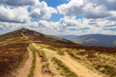 Güneşli bir günde Bieszczady dağlarında engebeli bir dağ yolunda yürüyen yürüyüşçüler canlı yeşil tepeler ve tüylü bulutlarla dolu mavi bir gökyüzü.