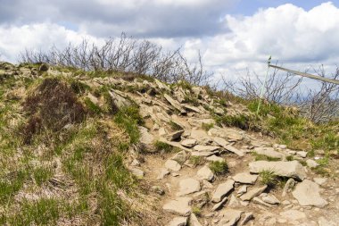 Seyrek bitki örtüsü ve dramatik bulutlarla çevrili bir dağ zirvesine giden kayalık patika sakin bir açık havada doğanın güzelliğini gözler önüne seriyor..
