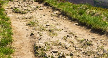 Çimenli arazide dolanan engebeli yürüyüş parkurları doğal güzellikleri gösteriyor. Rocky yolu, canlı yeşilliklerle sakin bir manzarada açık hava macerasını ön plana çıkarıyor..