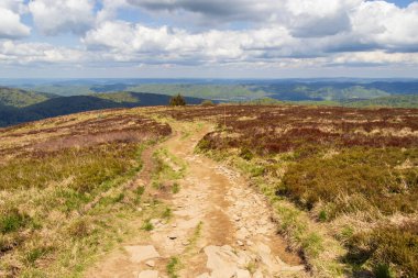 Bereketli yeşillik ve kayalık arazi boyunca uzanan dolambaçlı toprak bir yola sahip manzaralı bir manzara uzak tepeler ve dramatik bulut oluşumlarına karşı kurulmuştur..