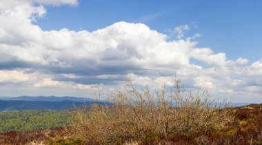Mavi bir gökyüzü altında yuvarlanan tepelerin ve dramatik bulutların nefes kesici manzarası. Ön planda bir çalı manzarası bölgenin doğal güzelliğini gözler önüne seriyor..