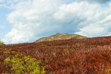 Kırmızı fundaları ve yemyeşil yemyeşil bulutlu gökyüzü altında canlı çayırlar gün boyunca Bieszczady dağlarındaki doğal güzellikleri gözler önüne seriyor..