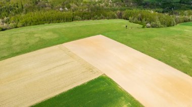 İlkbaharda kırsal alanda yemyeşil ve altın tarlaların havadan görünüşü. Canlı renkler tarım uygulamalarını gösteren tarım arazilerini vurguluyor.