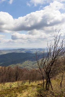 Güneşli bir günde Bieszczady Dağları 'nda, parlak mavi bir gökyüzünün altında yemyeşil kayan tepelerin büyüleyici panoramik manzarası..