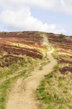 Kıvrımlı bir patika, parlak bir gökyüzünün altında yeşil çimenler ve renkli çalılar sergiliyor. Doğada açık hava ve macera temaları için ideal..