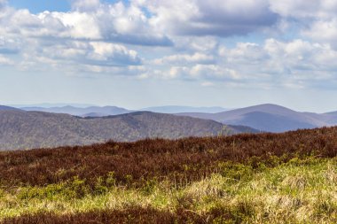 Güneşli bir günde Bieszczady Dağları 'nın panoramik manzarası açık hava aktiviteleri için bulutlu bir gökyüzü altında yeşil ve kahverengi bitkilerle kaplı yuvarlanan tepeleri sergiliyor..