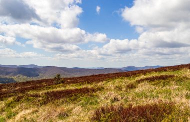 Bieszczady bölgesindeki engin dağ manzarası, gün boyunca kabarık bulutlarla dolu açık mavi gökyüzü altında yuvarlanan tepeler ve yeşillikler sergiliyor..