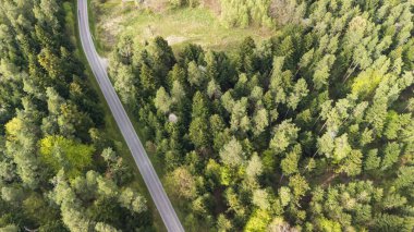 Baharda yemyeşil ormanlarla çevrili dolambaçlı bir yolun havadan görünüşü. Canlı yeşillik, doğanın güzelliğini gösteren asfalt ile çelişiyor..