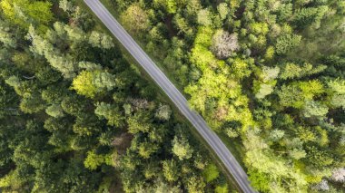 Bereketli yeşil ağaçlarla çevrili dolambaçlı bir yolun havadan görünüşü canlı yeşilliklerle ve açık gökyüzüyle baharda doğanın güzelliğini gözler önüne seriyor..