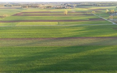 Canlı yeşil tarımsal tarlaların havadan görünüşü ile kahverengi yamalar kırsal araziyi akşam erken saatlerde gösteriyor. Tarım çevresi veya doğayla ilgili projeler için ideal.